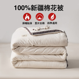 Xinjiang cotton quilt cotton student dormitory quilt quilt winter quilt Four Seasons universal quilt core spring and autumn air conditioning bedding