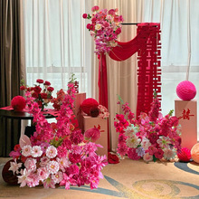 ���滨�����չ����b��W�t�����Y�������û����廨�Y��ٻ��b�