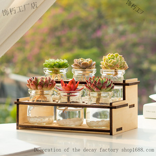 Balcony Mini Hydroponic Succulent Plant Cactus Green Plant Small Potted Indoor Desktop Micro Landscape Pet
