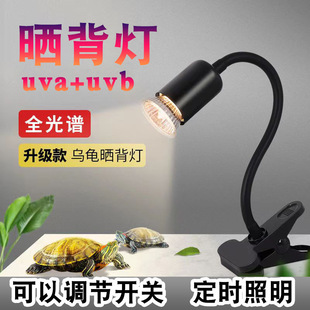 Little turtle sun backlight turtle lighting sun backlight full spectrum uvb uva turtle tank adjustable water tank temperature rise