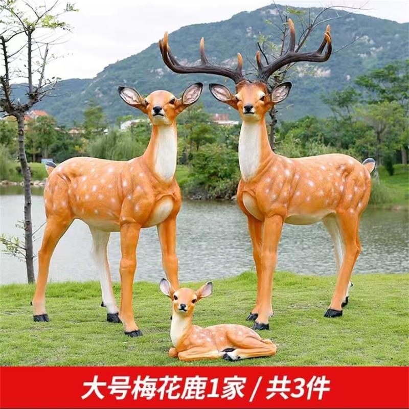 详情图
