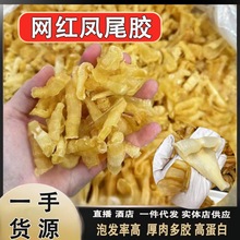 凤尾胶红鱼肚凤尾珍珠鱼胶花胶孕妇滋补干货清平批发直播酒店供应