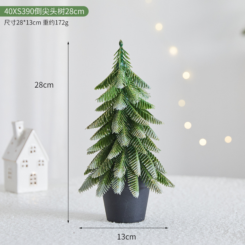 40XS390 역뾰족나무 28cm