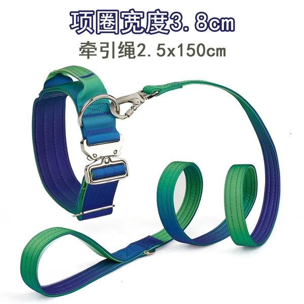 Blue and green suit [collar 3.8cm + traction rope 2.5x150cm]