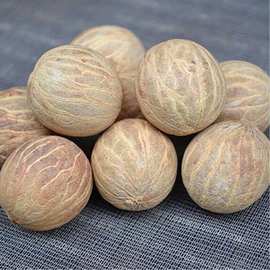 缅甸产地供应批发大菩提根原料原籽白玉菩提根雕刻原料一件是一斤