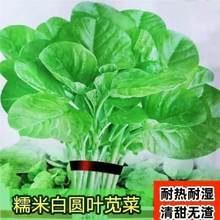 ļ׈A~{˷N·N̨Կ߮a͟ͺ߲˷N