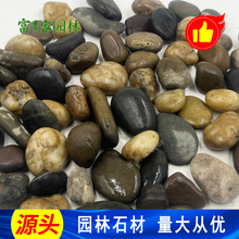 变压器5-8公分河卵石  污水处理鹅卵石富贵家石业天然滤料卵石