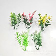 ����ֲ��ˮ����������쾰�b�ֲ�����������ϲ���ˮ�ݷ���ֲ��