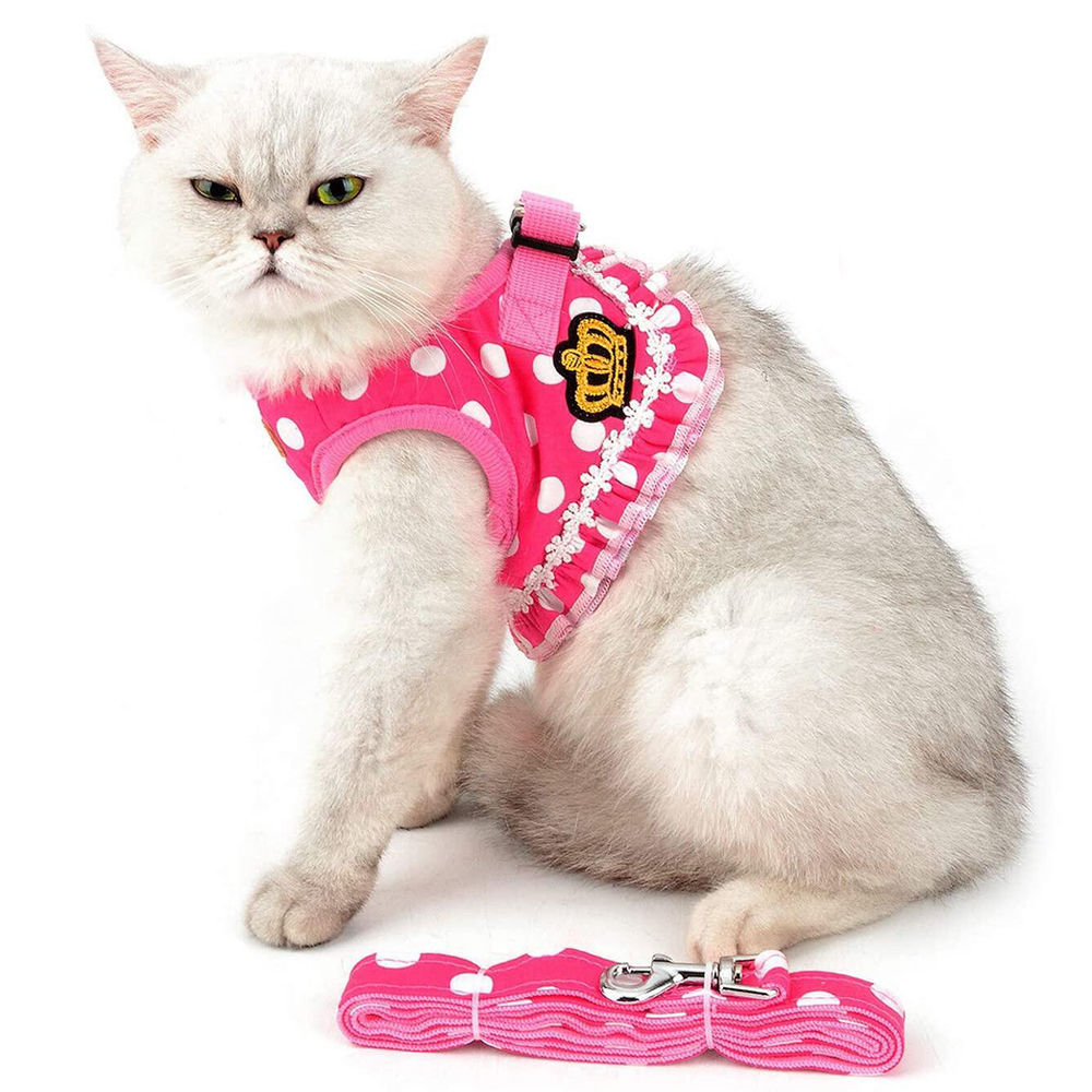 도매 애완 동물 작은 개 봄과 가을 테디 개 옷 개 산책 조끼 가슴 끈 가죽 끈에서