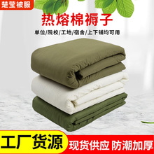 批发学校学生宿舍热熔褥子上下铺单人绿色热熔褥子白色棉花褥子