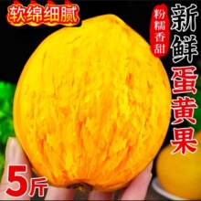 西双版纳正宗新鲜黄心鸡蛋果软糯香甜小众水果捂熟更香甜大果代发