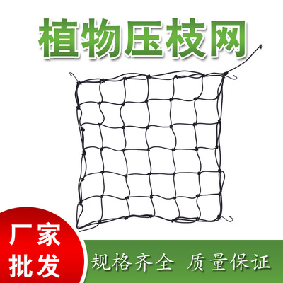 植物帐篷压枝网 分支网 均匀受光网格 植物帐篷配套设备弹力网|ru