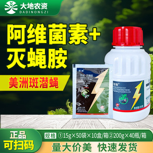 ���_���� 31%���S���؜�ω���˶����ްߝ�ω���Ú��x���rș�Ҹ���