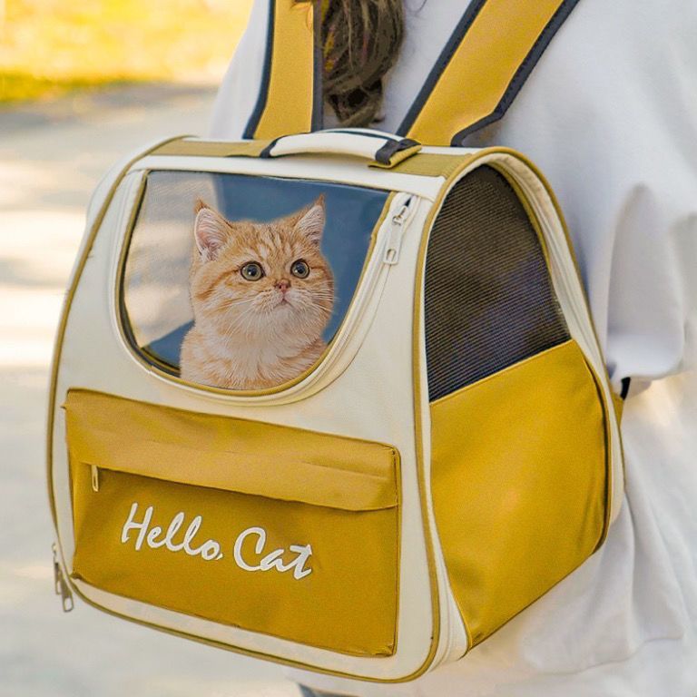 레몬옐로우 전용 핫스타일