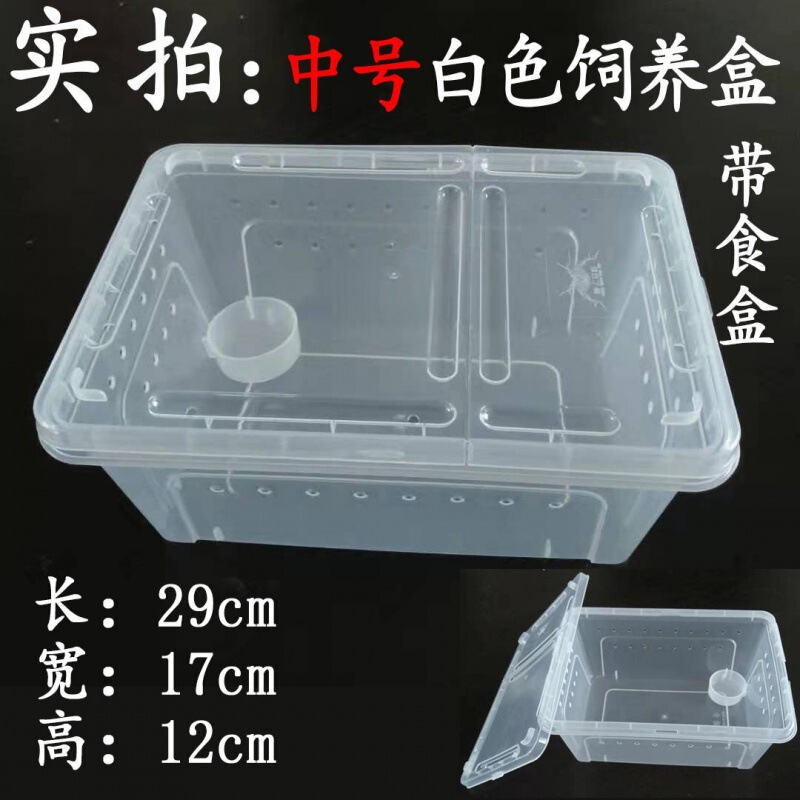 爬虫類、白翡翠カタツムリ、ホーンカエル、クモ、カマキリ、ヤドカリ、昆虫、特大、中型、小型、ミニ高透明飼育箱|undefined