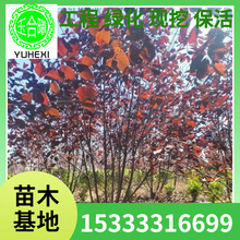 �������~���� 3-7�� 4-8֦�l���~�G����ľ�|������