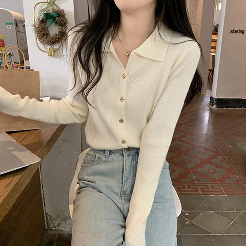 Polo-Neck Innerwear Base Knit Sweater for Women, 2025 New Collection—Elegant, Chic, and Uniquely Designed Top for Spring and Autumn