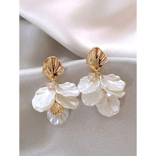 2026�� N2988 �羳���Q���l�¿���ׁ��L�ȼٶ���ն��