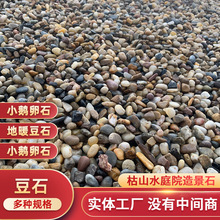 南京豆石批发水处理地暖垫层小石子铺面杂色石头家装建材铺路石头