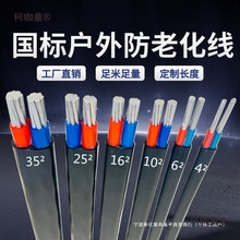 國標2芯3芯電纜線鋁芯家用戶外電線2.5 4 6 10 16 25平方鋁麥太保
