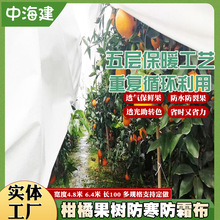 1.6-6.4m四川柑橘防寒布 车厘子沃柑果树透气防霜冻保温防寒布