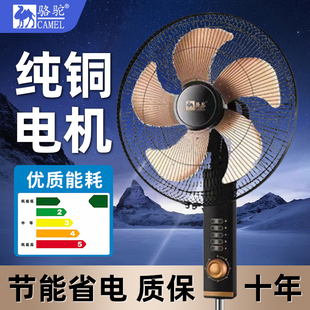 凉鞋女夏季中跟