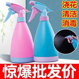浇花小喷壶清洁消毒喷雾器盆景多肉喷水壶塑料糖果色淋花喷水壶