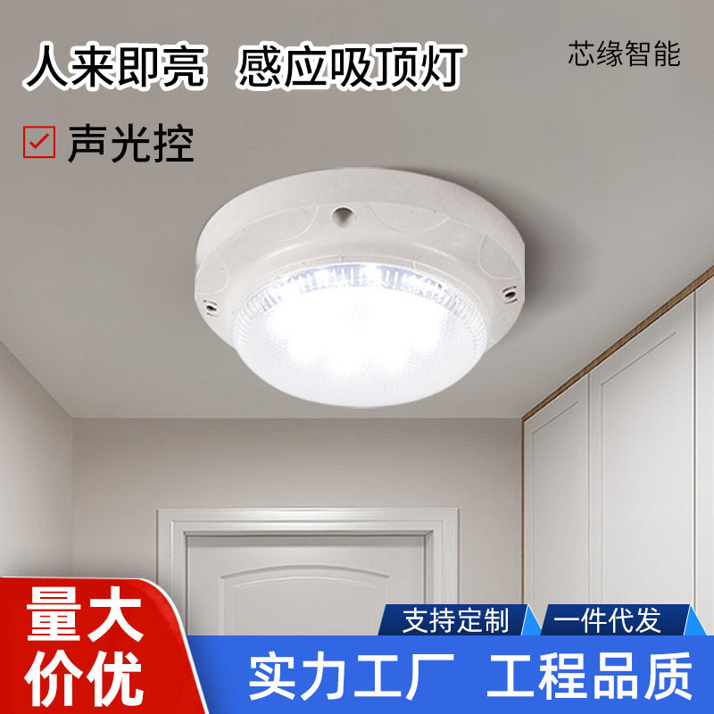 Led Sound- and Light-Controlled Ceiling Light for Corridors, Delay Sound-Controlled Light for Property Engineering, Garage Hallway Sensor Light, Entrance Hall