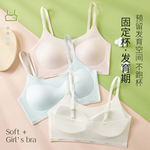 �ļ�������z��Ů����͸�������С���Ĺ̶����\�ӷ���l��������