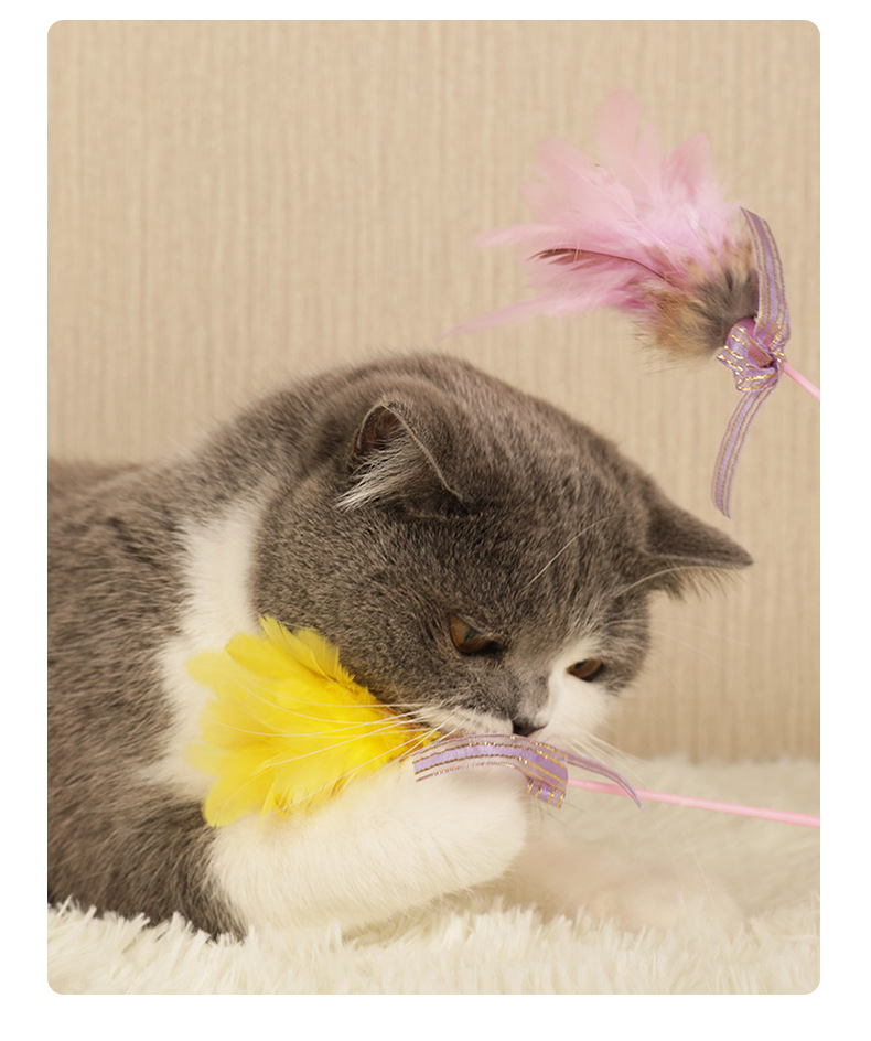 逗猫棒详情页_05.jpg