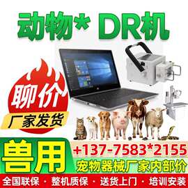 宠物DR医院拍片设备动物数字化DR机猫狗兽用异宠宠物健康检查