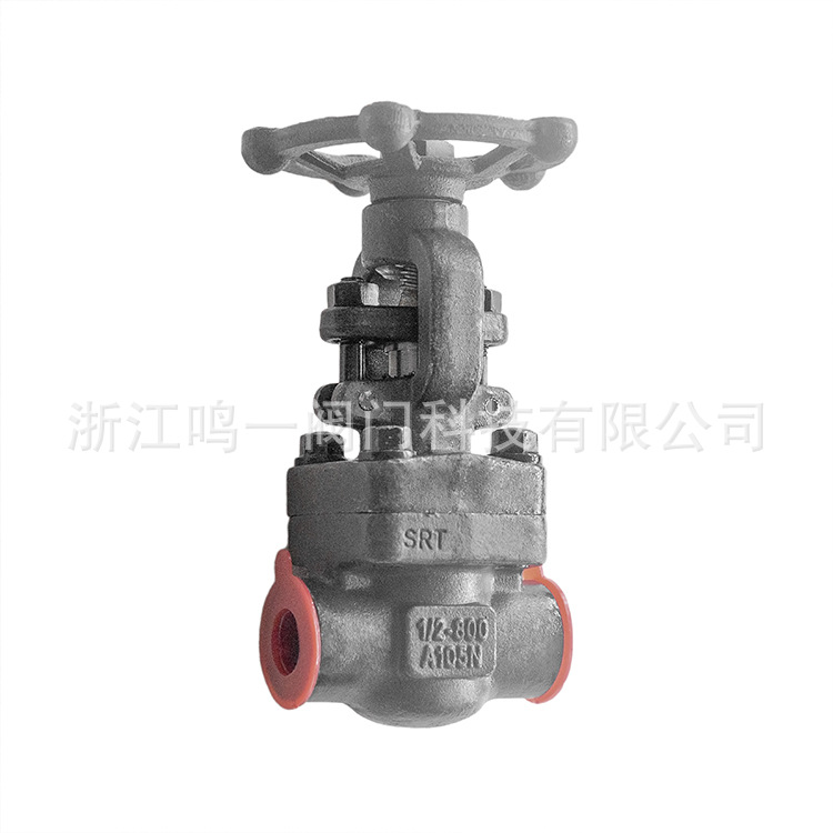 锻钢闸阀 承插焊闸阀 A105锻钢800LB硬密封闸阀零泄漏 厂家供应