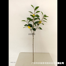 ���晎�ʘ�֦����¹�����L֦�l���¼Ҿӿ͏d��ˇ���ȵ��b廨