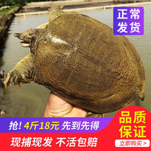 ��������~�r����w���A������С�M���������r�Fُˮ�~��ˮ�~��