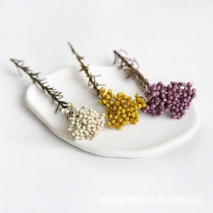 �����ߡ���֦�����׻�����޹Ϟ�T����ƿ�b���Ȼ�ɻ�diy�������