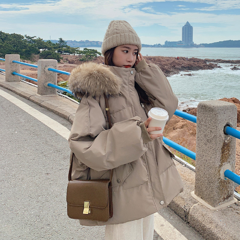 밀크티 컬러