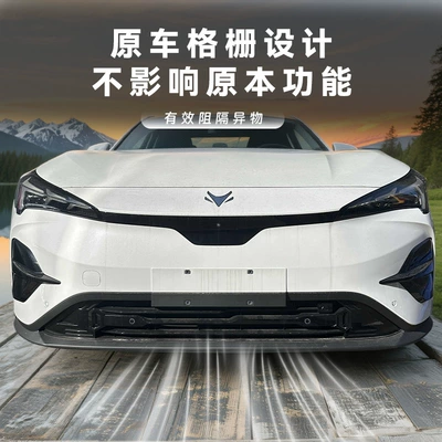 mesh for the front grille – Automobile anti-insect net