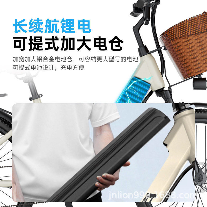 Batería desmontable de paloma de vuelo eléctrica de litio para bicicleta de montaña vehículo eléctrico ligero de asistencia para hombres y mujeres