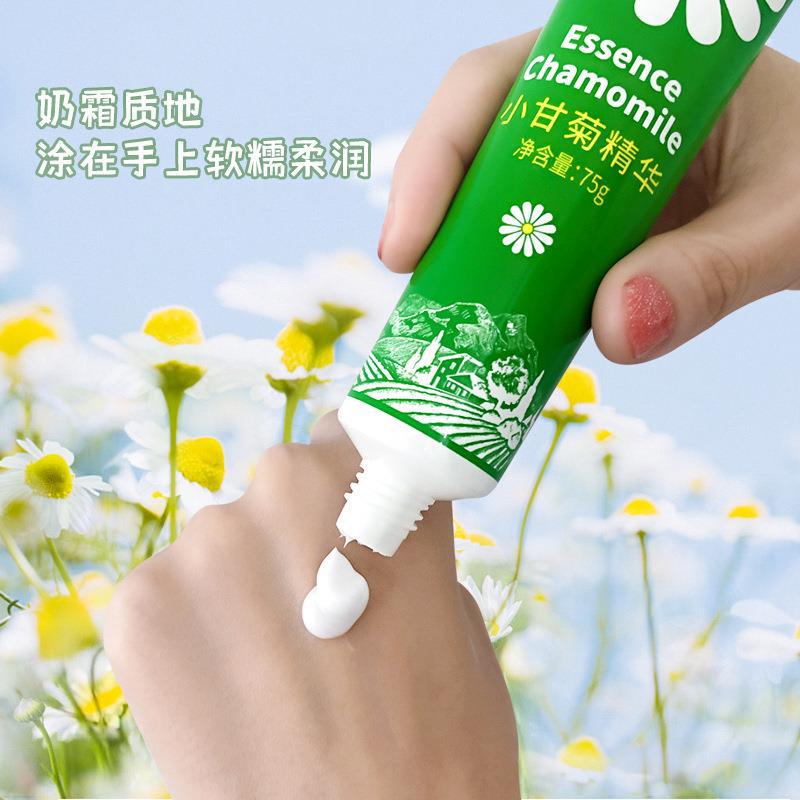 采詞小洋甘菊護手霜補水保濕滋潤手部護理防凍防乾裂手霜源頭廠家