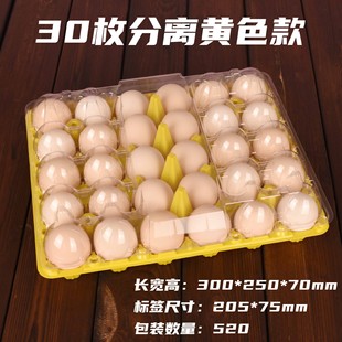 һ���������u����͸��30ö�����u�����b�з����S��ֱ�N���l���]