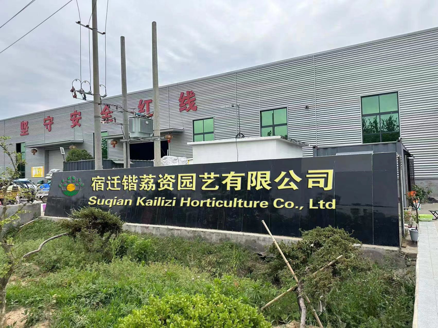 微信图片_20230518205109