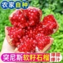 会理四川特大新鲜石榴