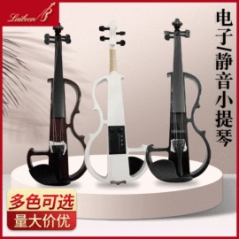 拉弦类乐器;乐器配件;乐器箱包