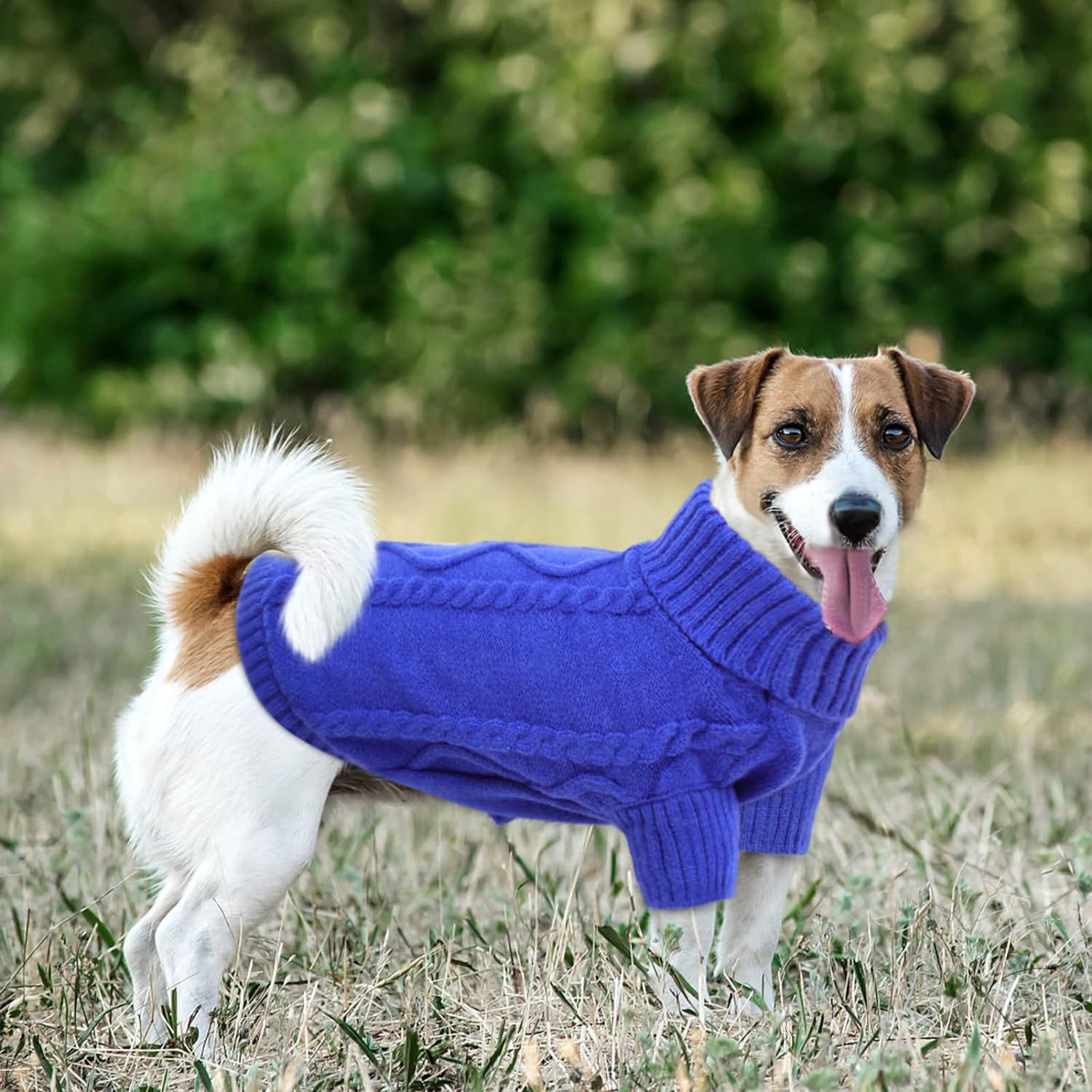 犬カメ服秋冬服アマゾン2025秋冬新作ペット服無地ニットセーター