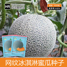 廠家批發網紋冰激凌蜜瓜種子新疆圓球型厚皮水果哈密瓜種籽春夏季