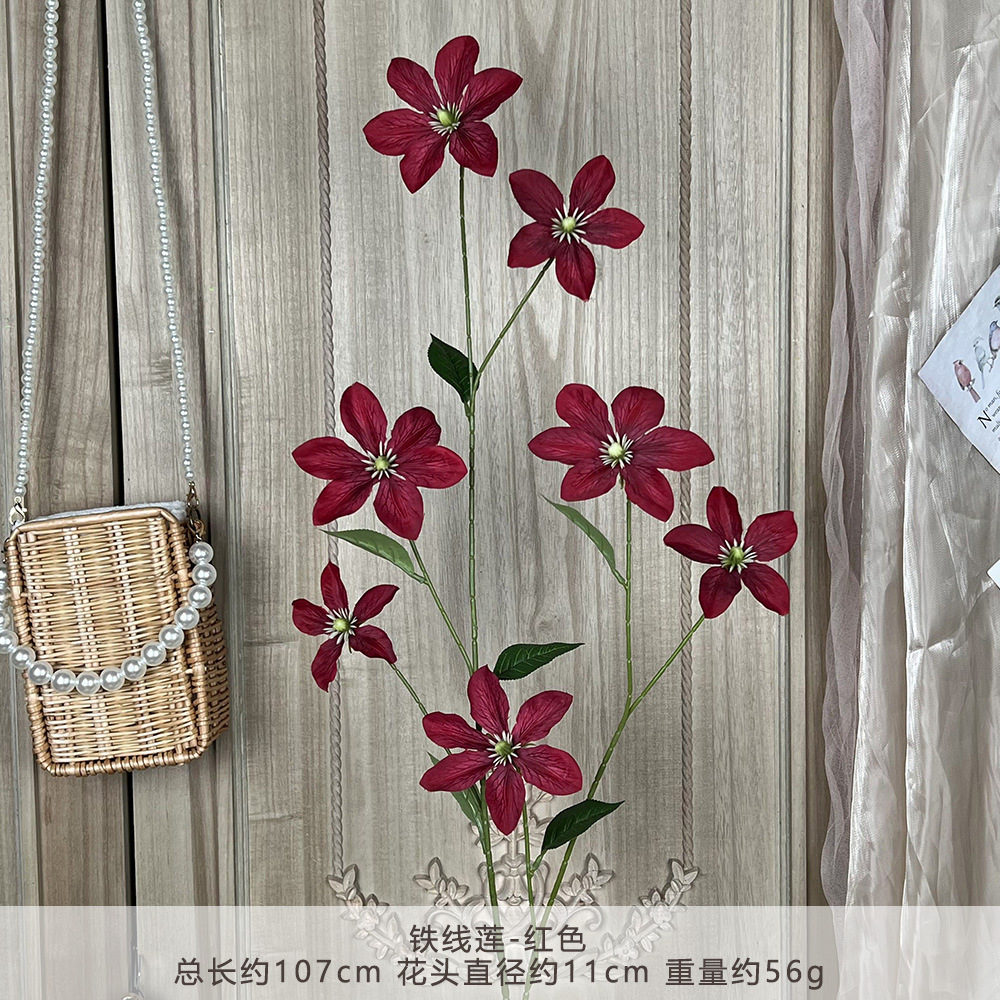 Ym-clematis-red