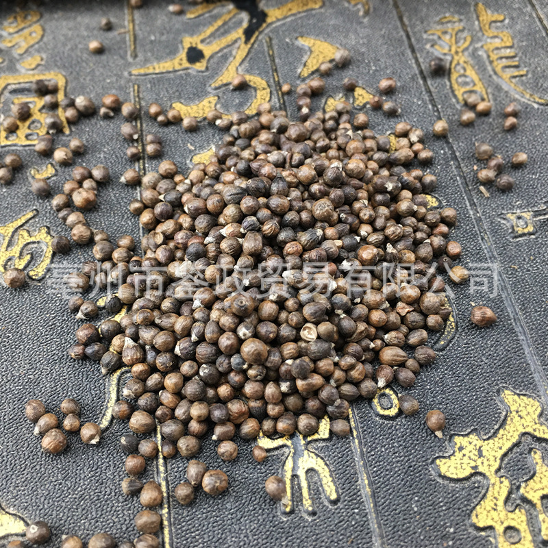 Huang Jing Zi Vitex Negundo Seeds Dried Chinese Vitex Fruit Bulk Herbal Filling Material 500g quality and texture
