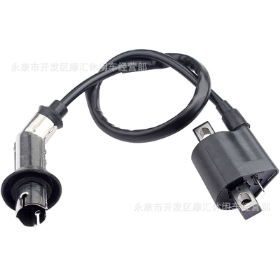 Alovlanma bobini (Babinalar) 139Qmb Shineray 250Cc Xy250Stxe