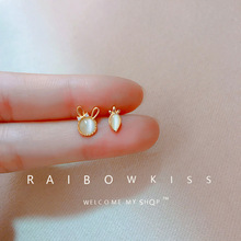 С�ɰٴ���Q؈��ʯ���Ӷ��ŮIns�䵭�L�ö�����|�p�ݶ��h