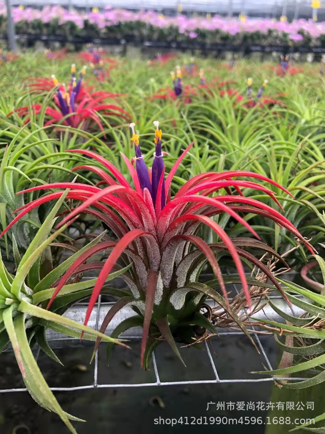 微信图片_20211105015417